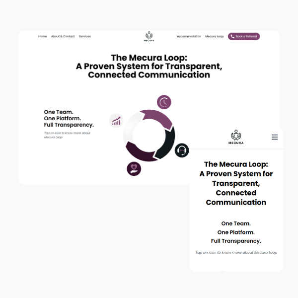Mecura Website